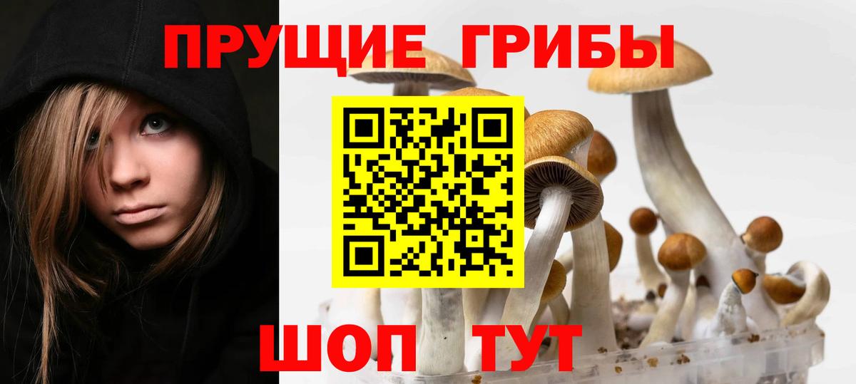 Саянск  Псилоцибиновые грибы MAGIC MUSHROOMS  Галлюциногенные грибы Psilocybine cubensis  Вход с VPN 